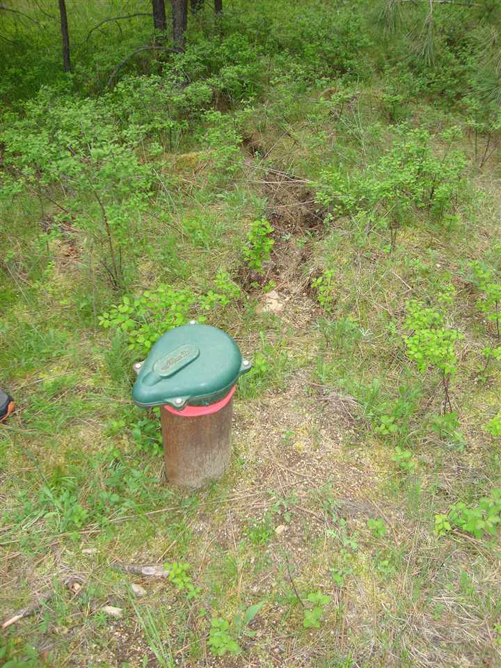 38821 North Madison Road Elk, WA 99009 - Photo 2 of 20