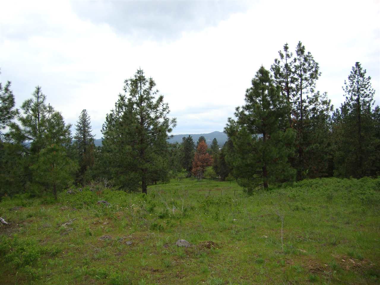 38821 North Madison Road Elk, WA 99009 - Photo 11 of 20