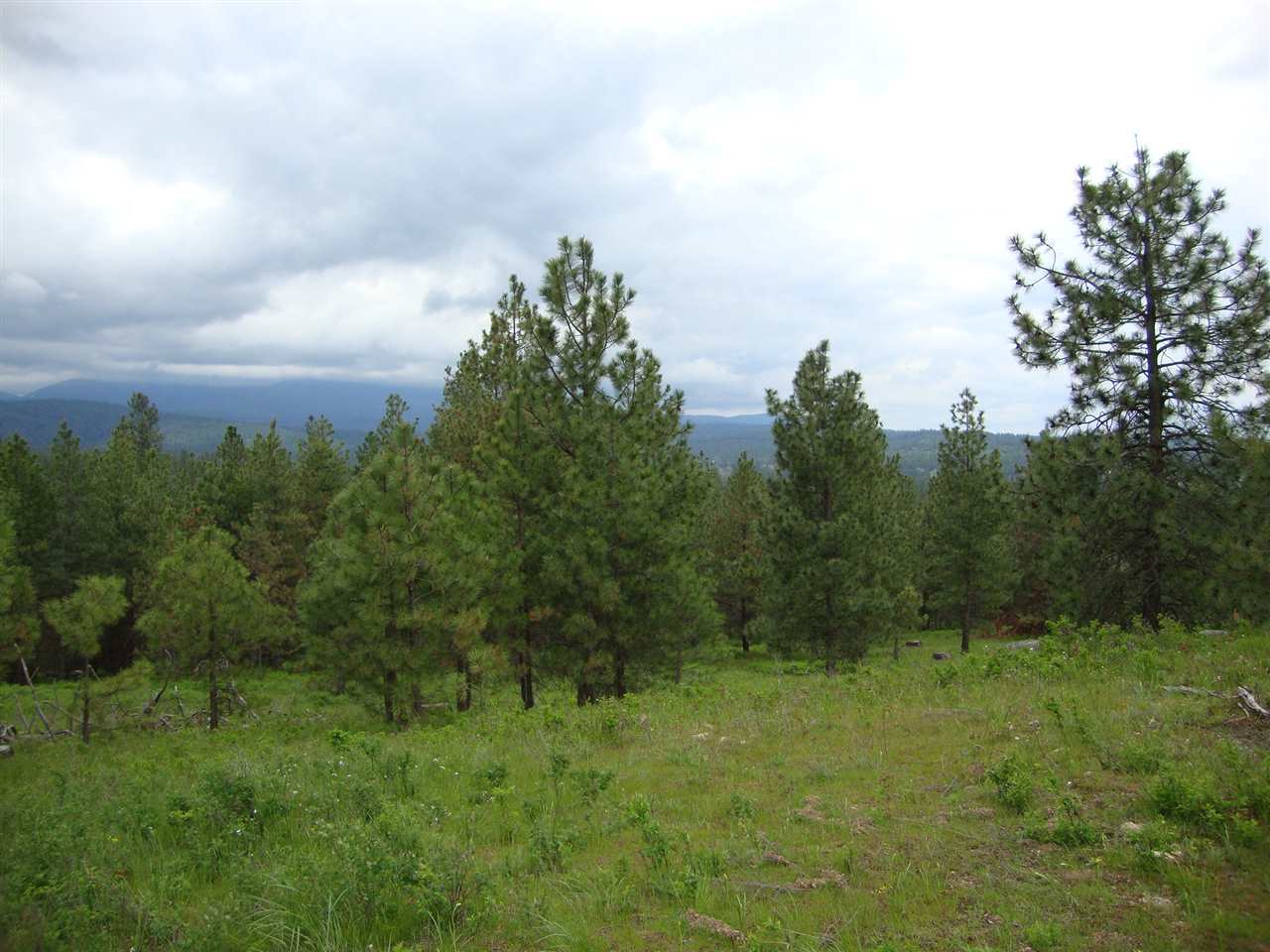 38821 North Madison Road Elk, WA 99009 - Photo 12 of 20