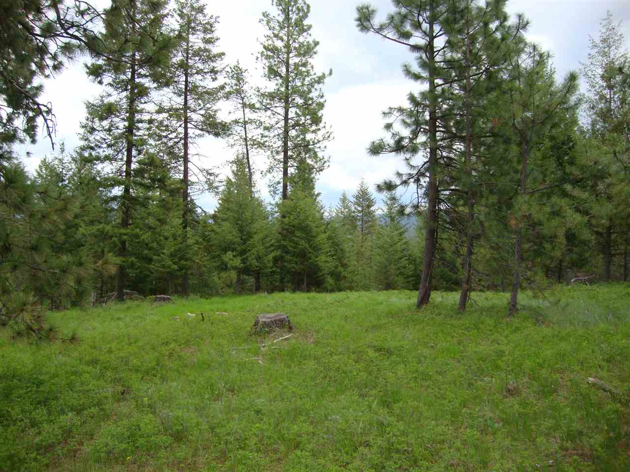 38821 North Madison Road Elk, WA 99009 - Photo 13 of 20