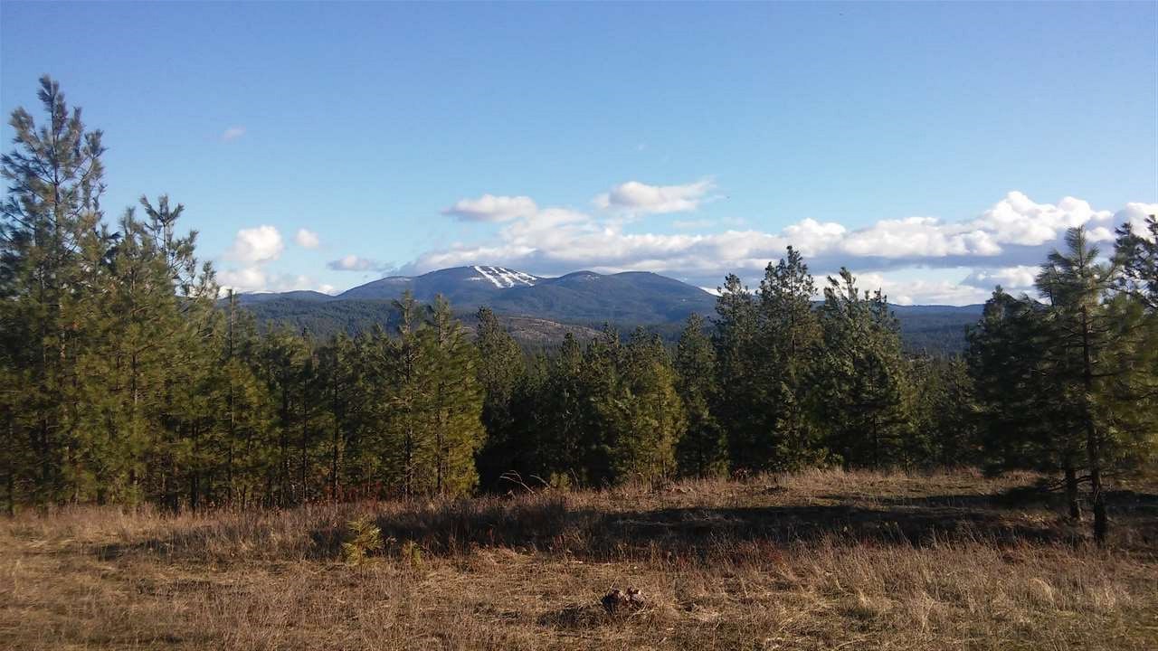 38821 North Madison Road Elk, WA 99009 - Photo 16 of 20