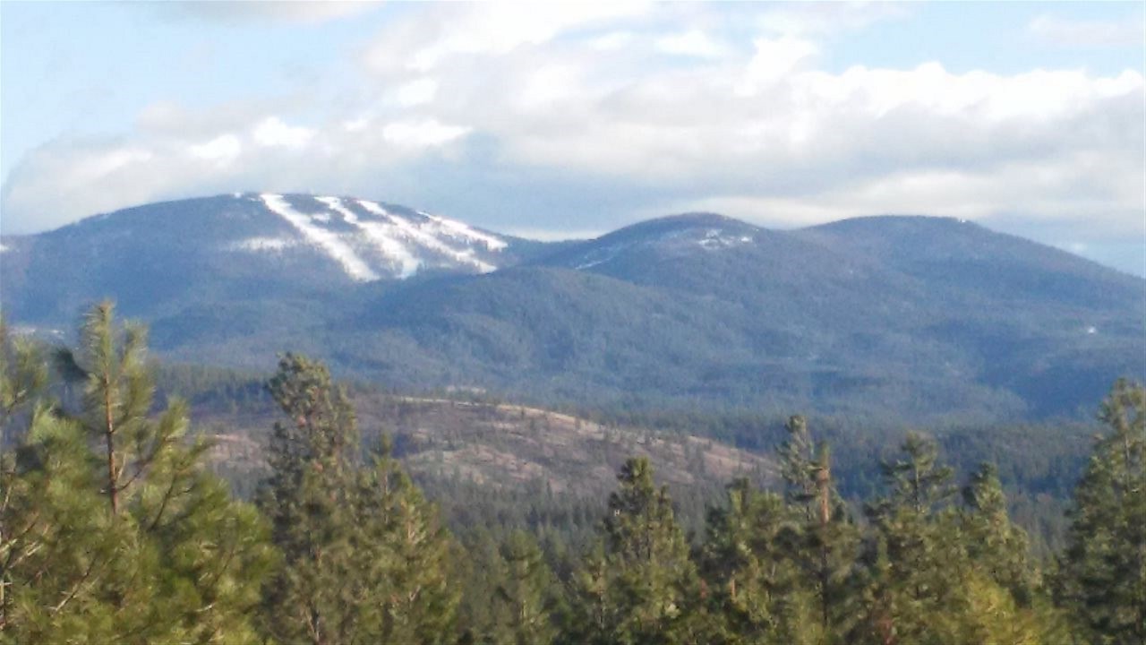 38821 North Madison Road Elk, WA 99009 - Photo 17 of 20