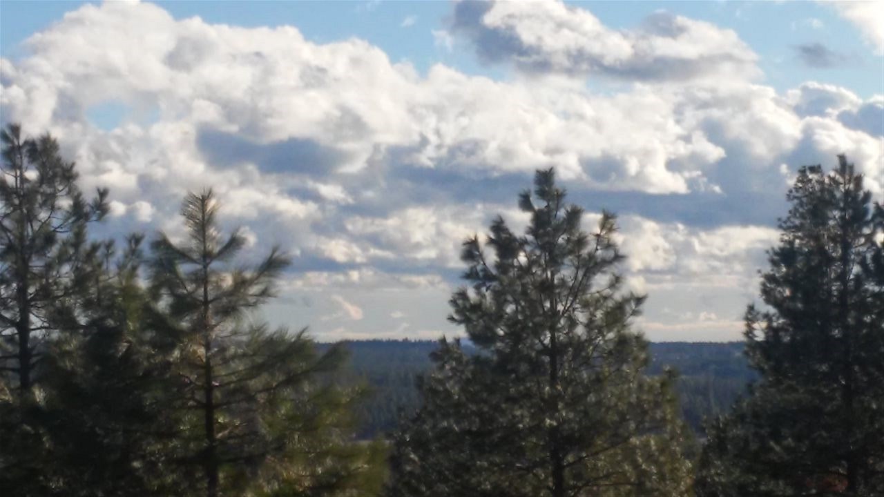 38821 North Madison Road Elk, WA 99009 - Photo 18 of 20