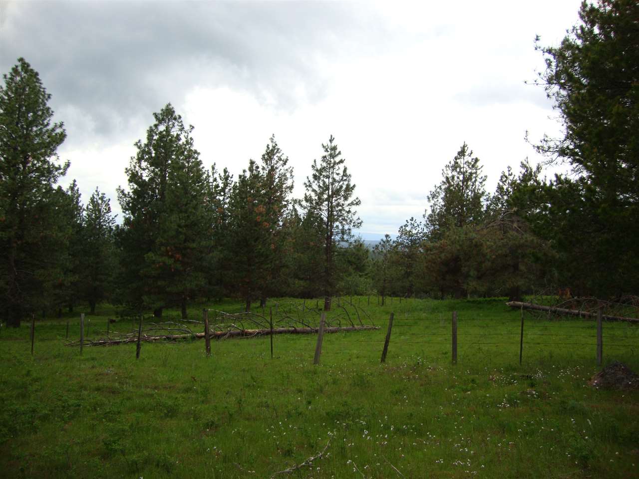 38821 North Madison Road Elk, WA 99009 - Photo 3 of 20