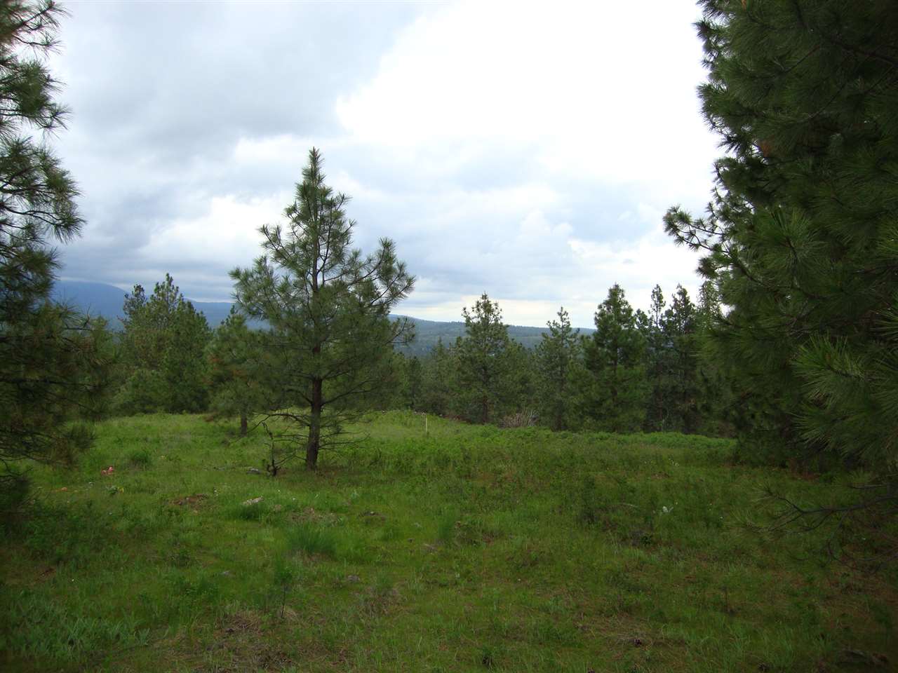 38821 North Madison Road Elk, WA 99009 - Photo 4 of 20