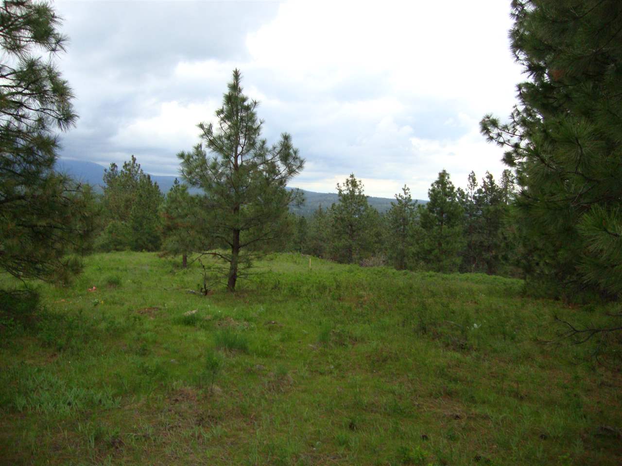 38821 North Madison Road Elk, WA 99009 - Photo 5 of 20