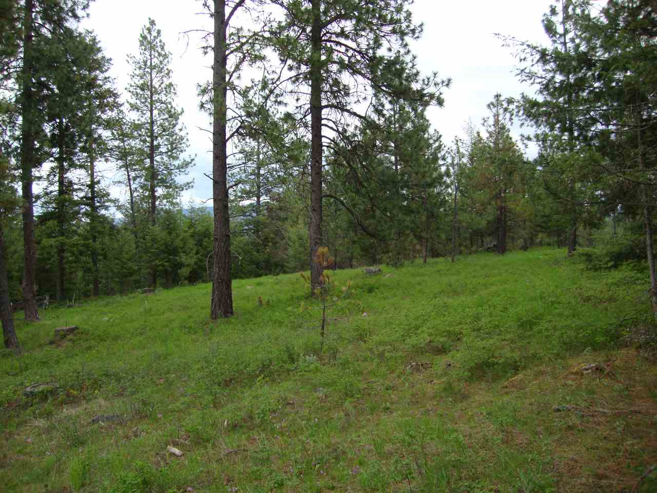 38821 North Madison Road Elk, WA 99009 - Photo 6 of 20