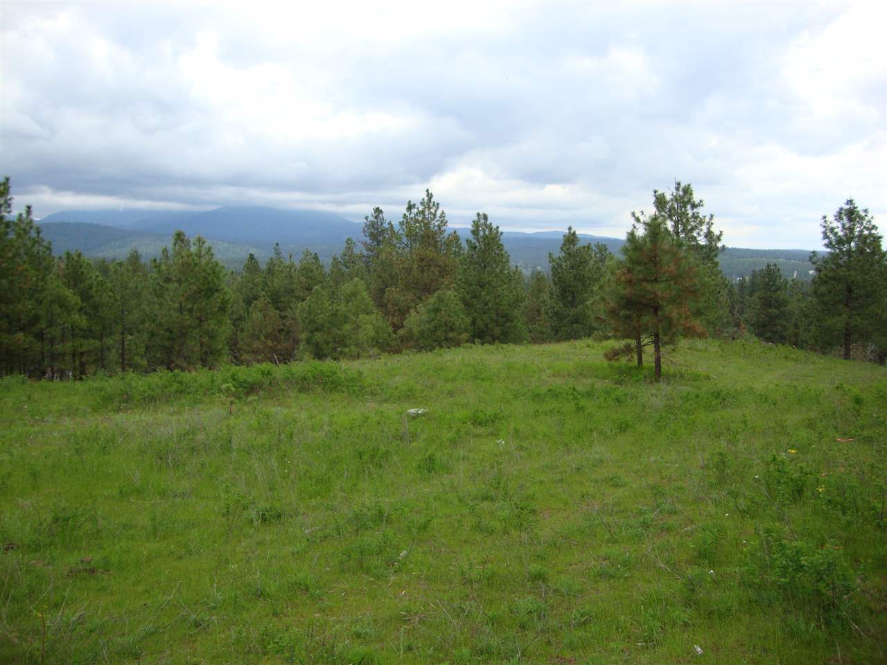 38821 North Madison Road Elk, WA 99009 - Photo 7 of 20