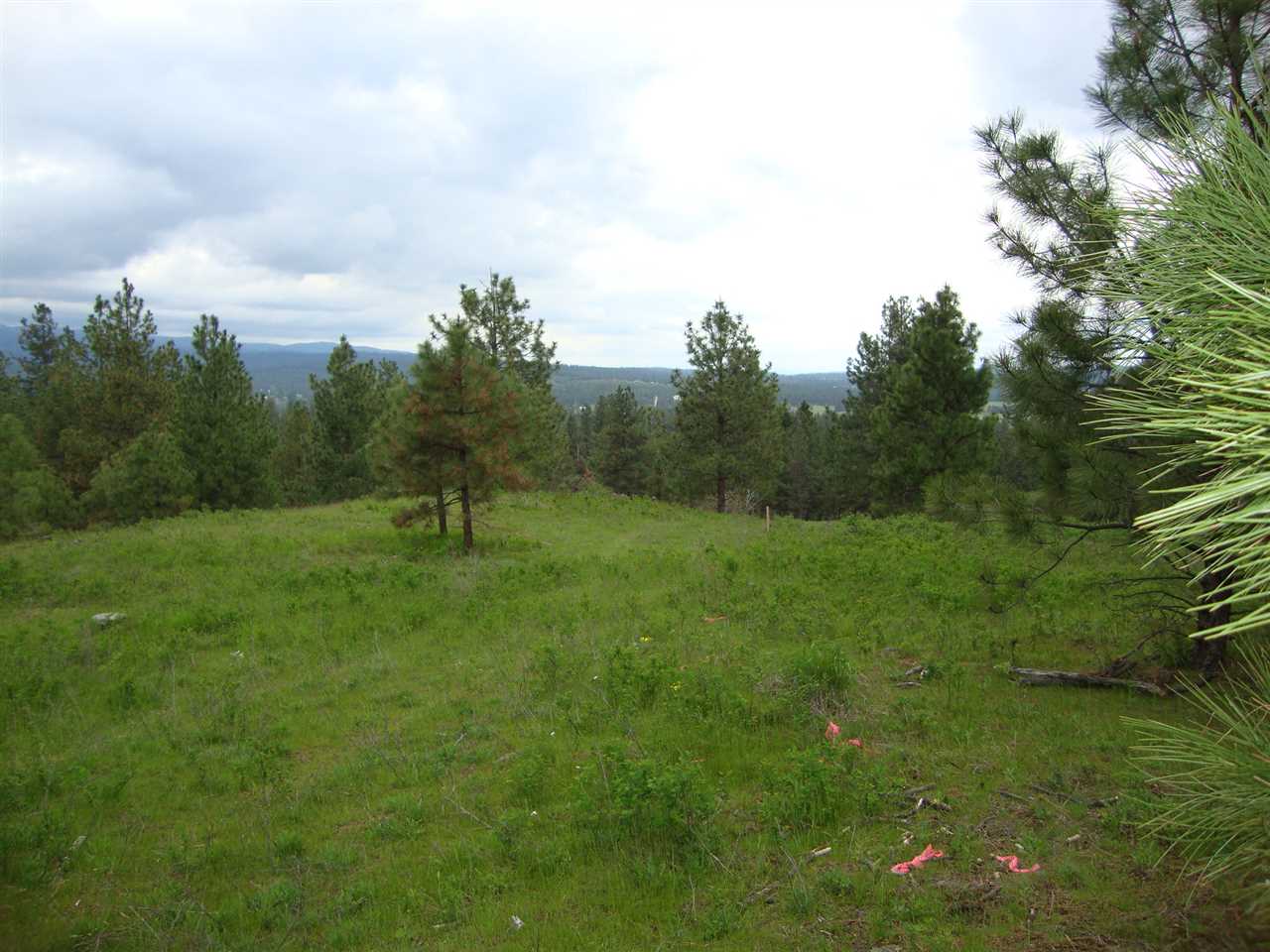 38821 North Madison Road Elk, WA 99009 - Photo 8 of 20