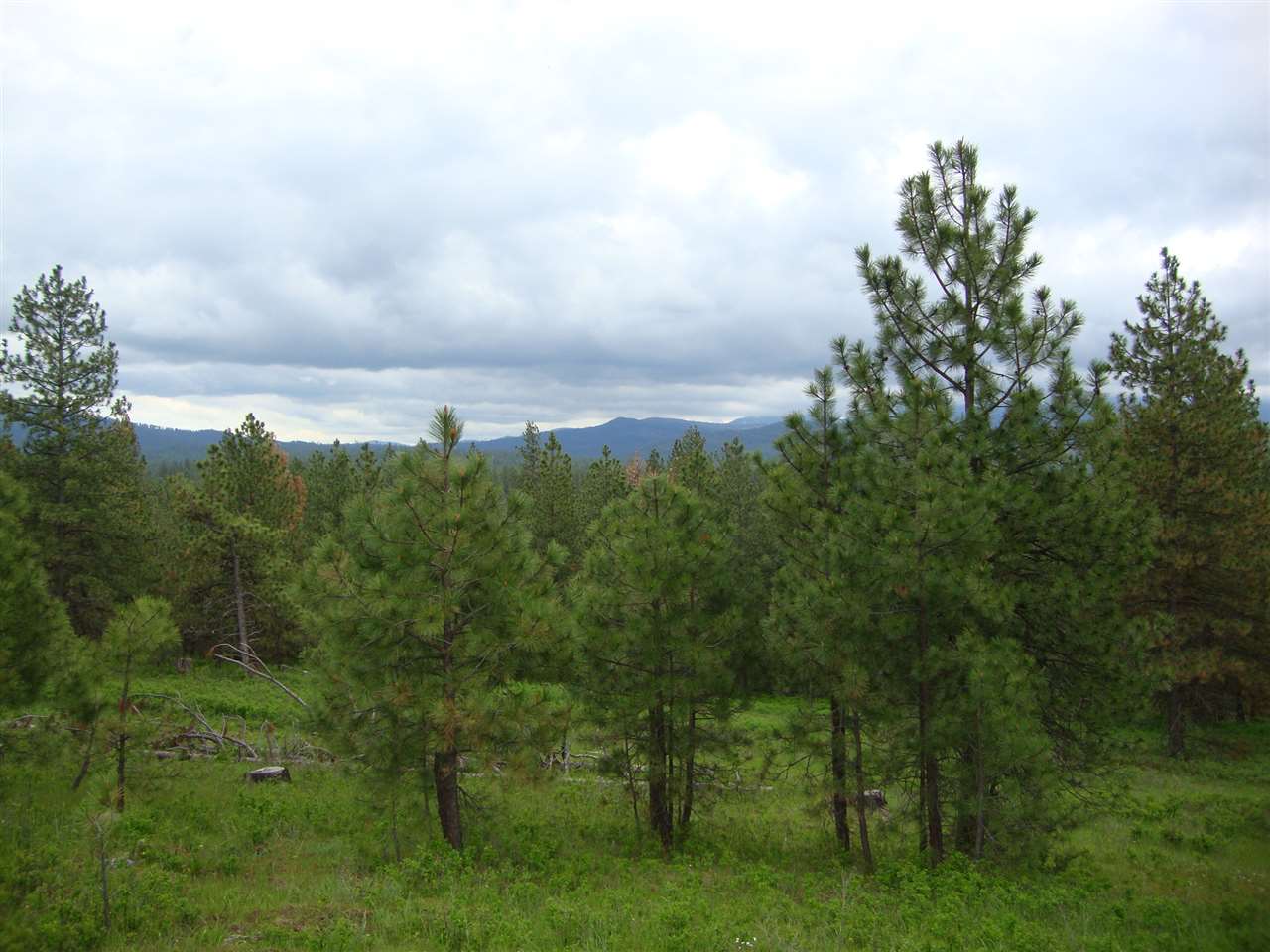 38821 North Madison Road Elk, WA 99009 - Photo 9 of 20