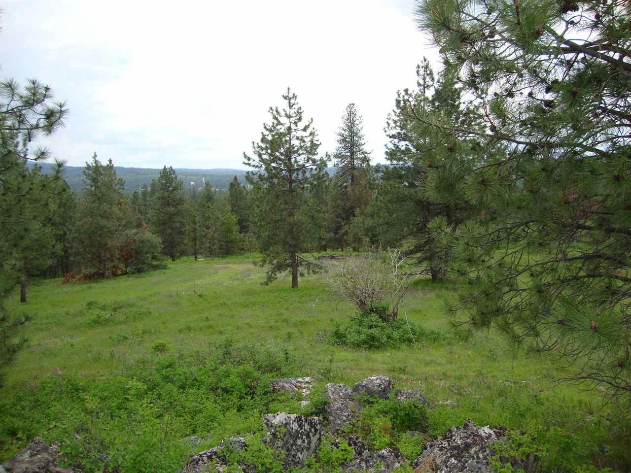 38821 North Madison Road Elk, WA 99009 - Photo 10 of 20