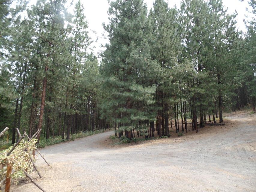 1506 Silver Queen Road Kettle Falls, WA 99141 - Photo 36 of 49