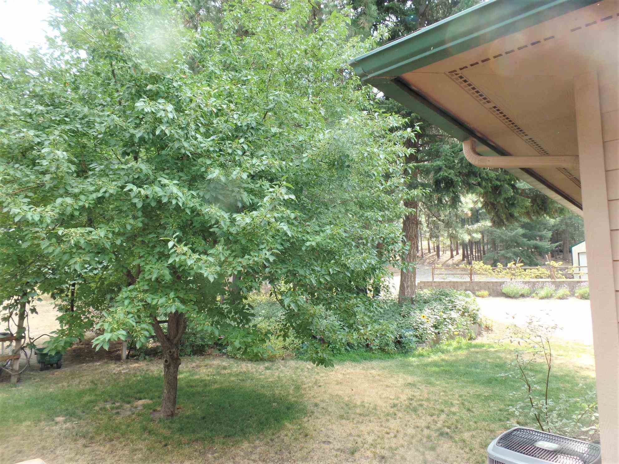 1506 Silver Queen Road Kettle Falls, WA 99141 - Photo 44 of 49