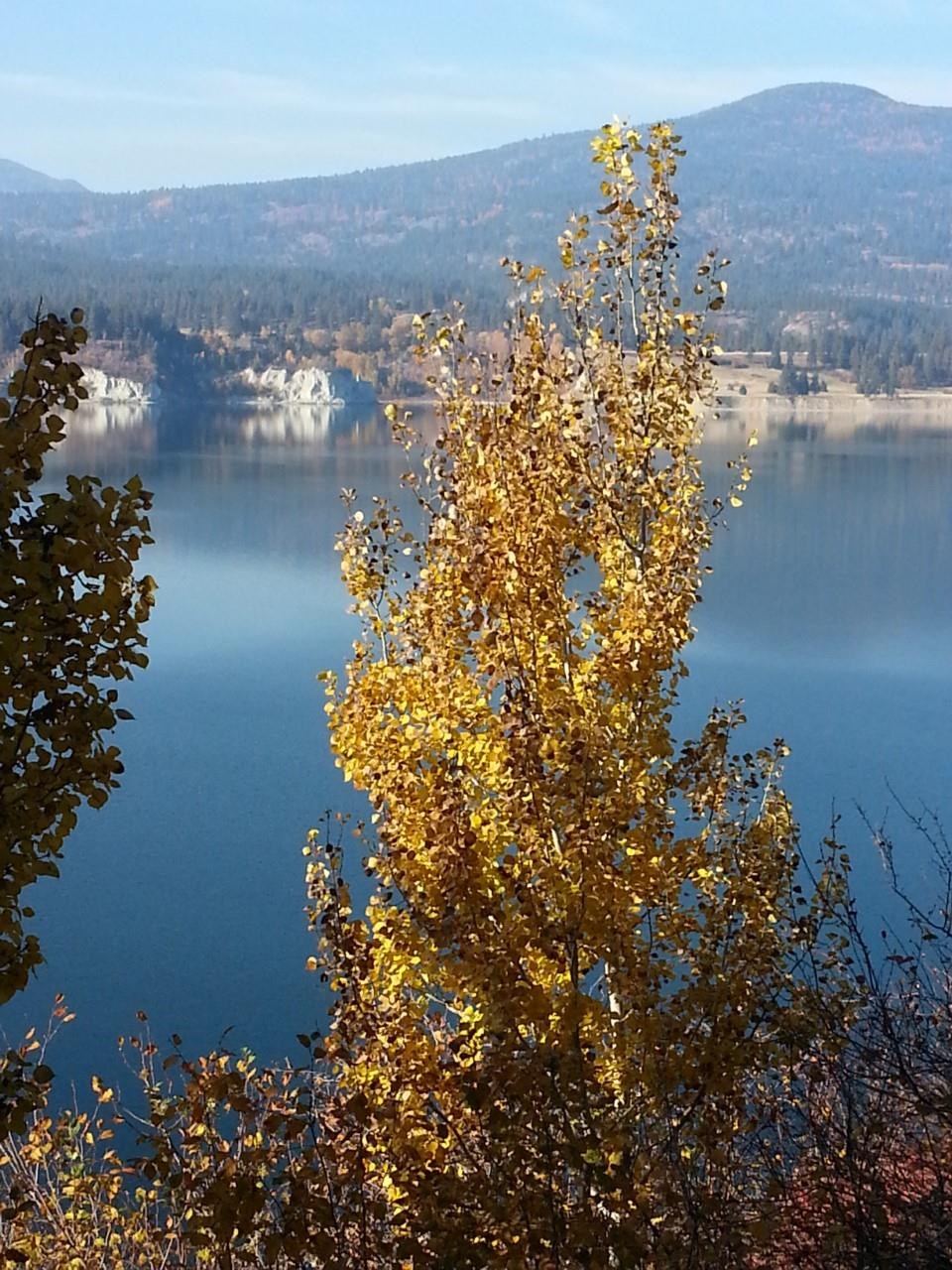 1506 Silver Queen Road Kettle Falls, WA 99141 - Photo 46 of 49