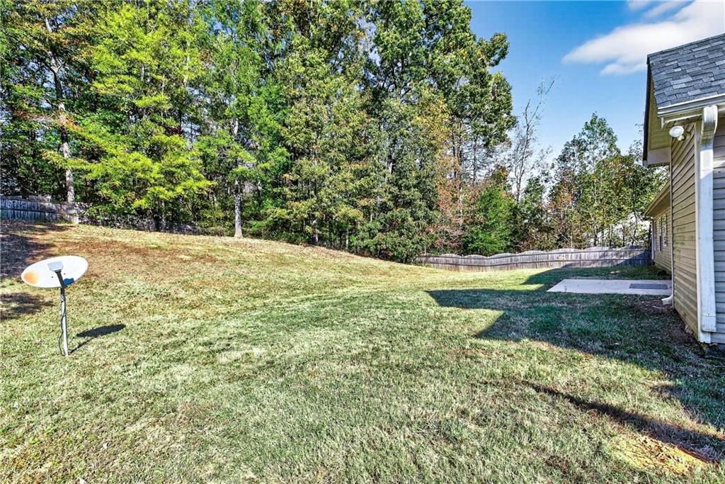 220 Windpher Ridge Hampton, GA 30228 - Photo 30 of 42 a view of a backyard
