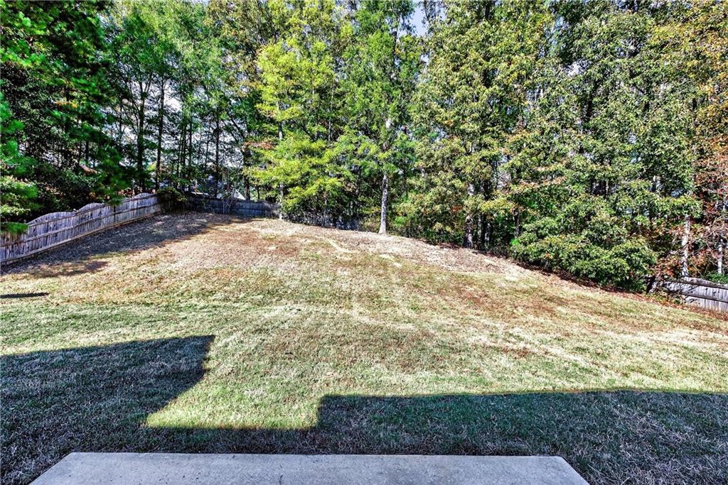 220 Windpher Ridge Hampton, GA 30228 - Photo 32 of 42 a view of a yard with wooden fence