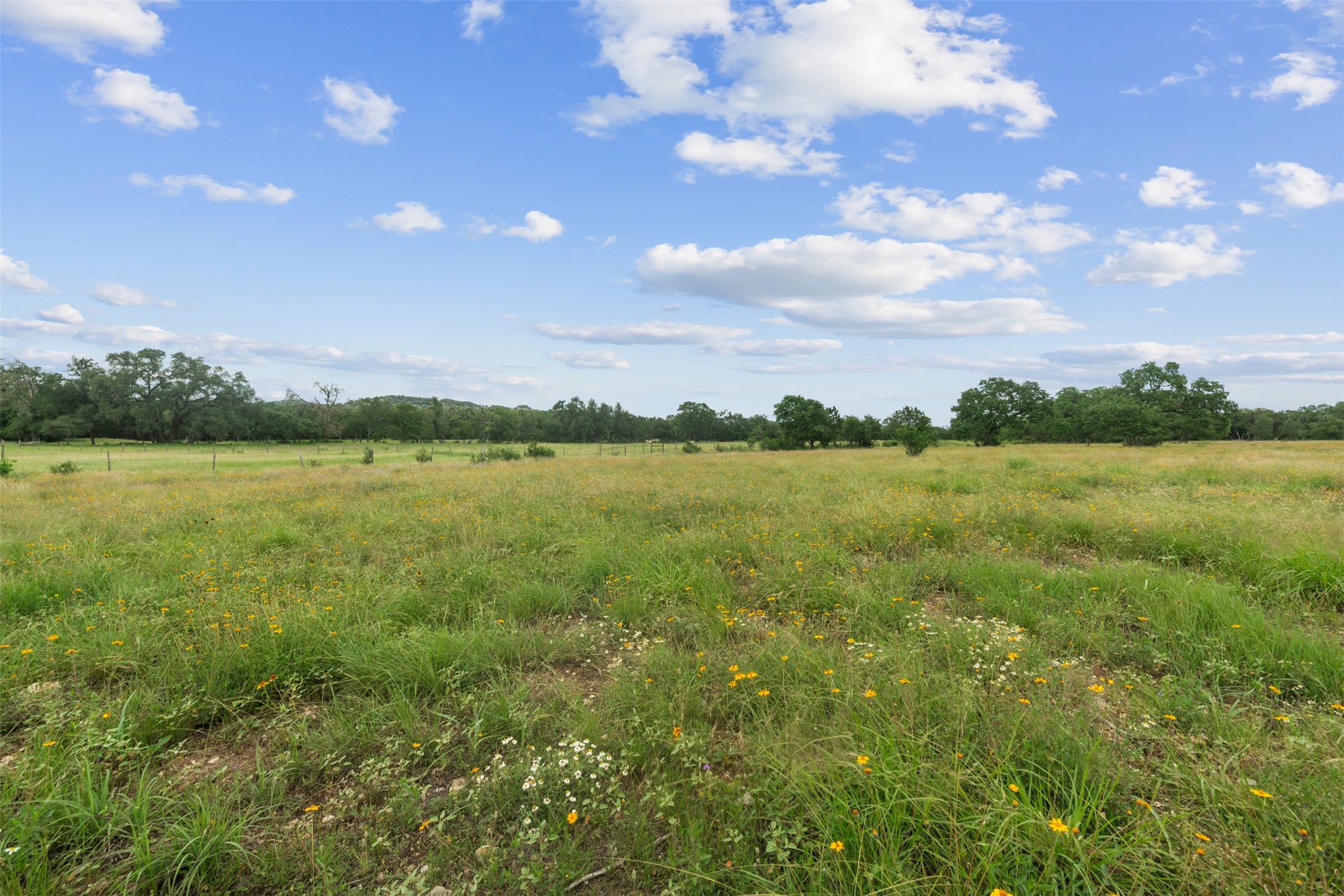 34000 Smithson Valley Road Bulverde, TX 78163 - Photo 46 of 50 Expansive open pastureland offers endless possibilities for recreation, livestock, or simply enjoying the beauty of the Texas countryside. Native grasses and wildflowers enhance the property's natural charm.