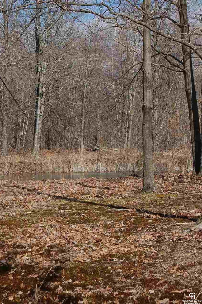 13401 Briggs Road Chesaning, MI 48616 - Photo 17 of 44