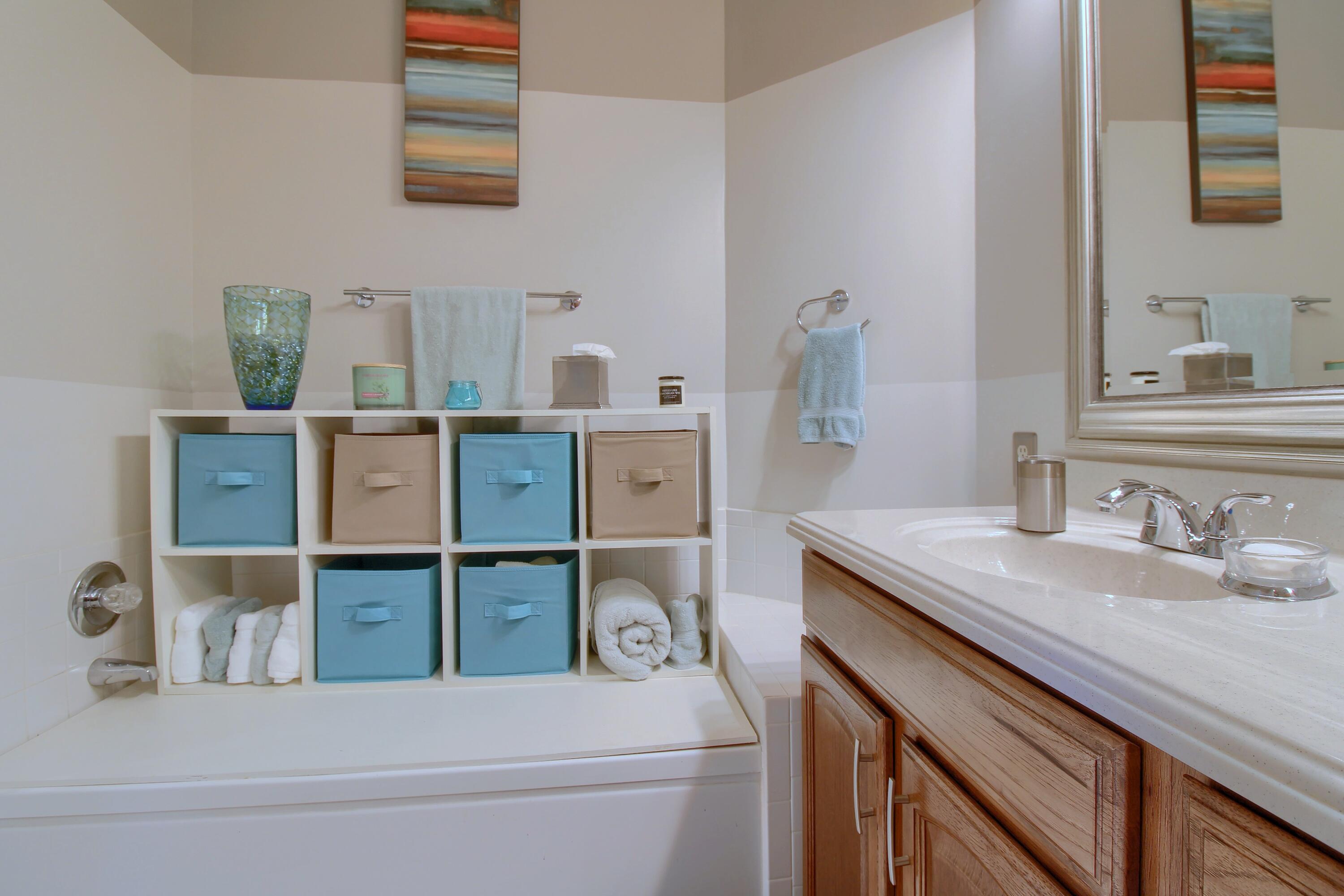 290 Edington Circle Canton, MI 48187 - Photo 18 of 34 15-Primary-Bathroom-3rd-View