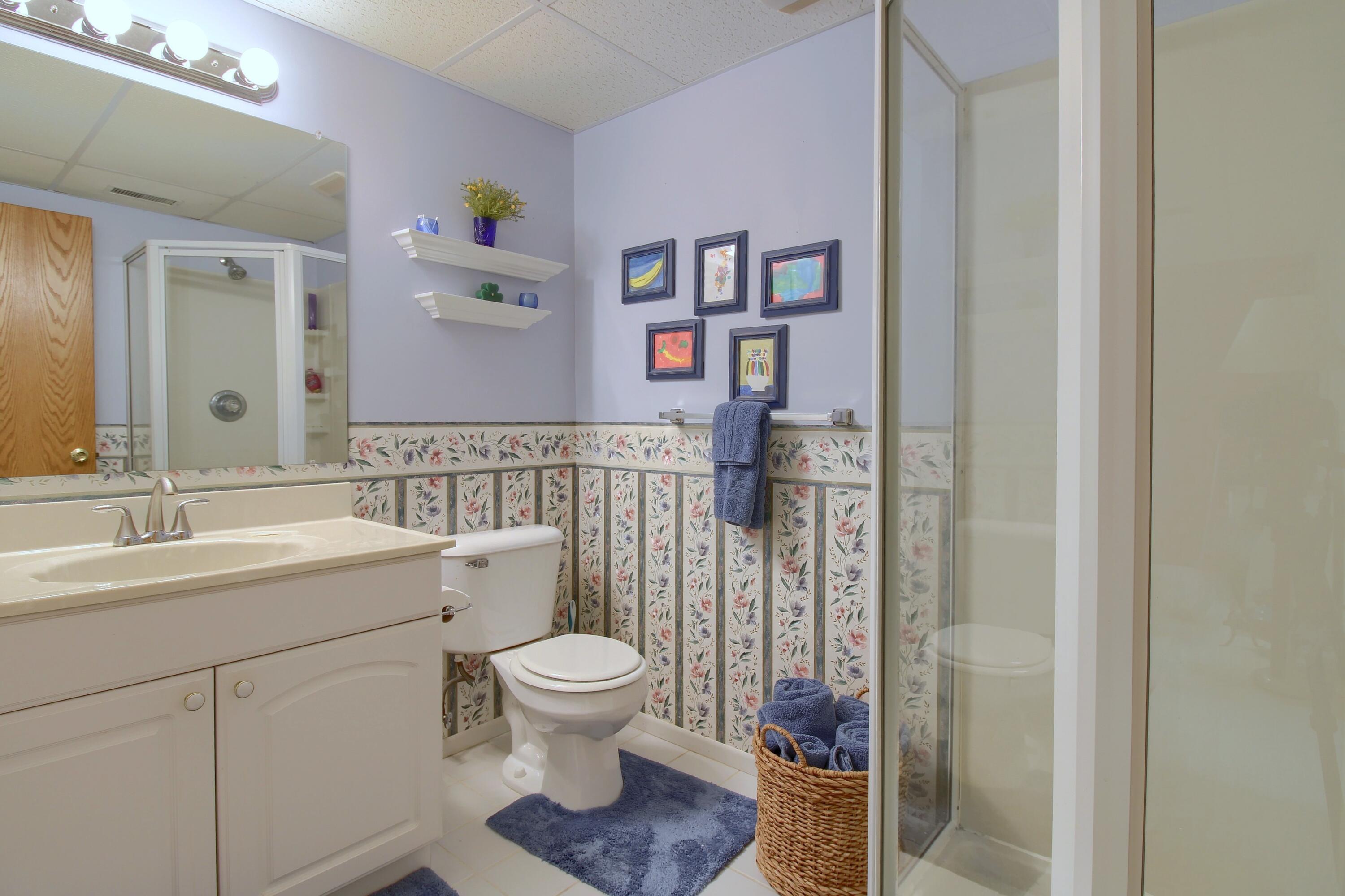 290 Edington Circle Canton, MI 48187 - Photo 30 of 34 27-Finished-Lower-Level-Bathroom