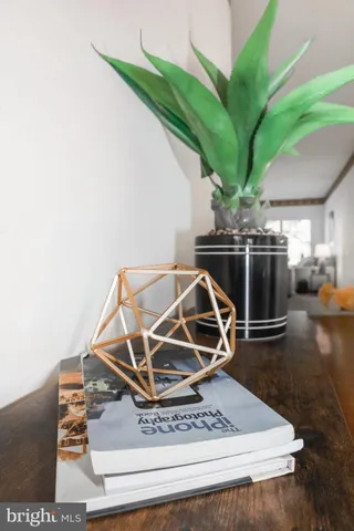 a view of a livingroom with furniture and a potted plant