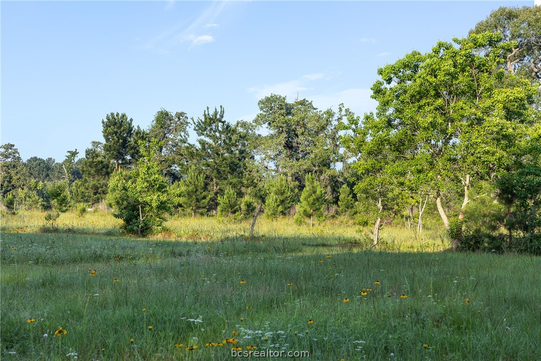 26795 Rice Road Hockley, TX 77447 - Photo 7 of 19 a view of a big yard