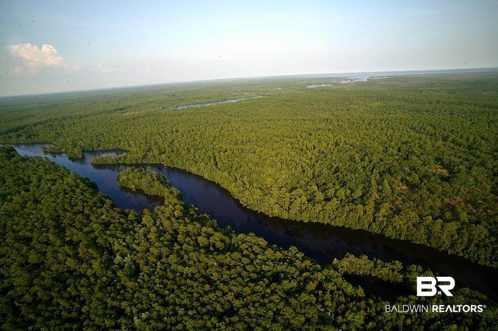 0 Three 3 Rivers Road Seminole, AL 36574 - Photo 4 of 27