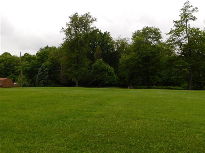157 Carrier Road Transfer, PA 16154 - Photo 6 of 19 REAR YARD!!!