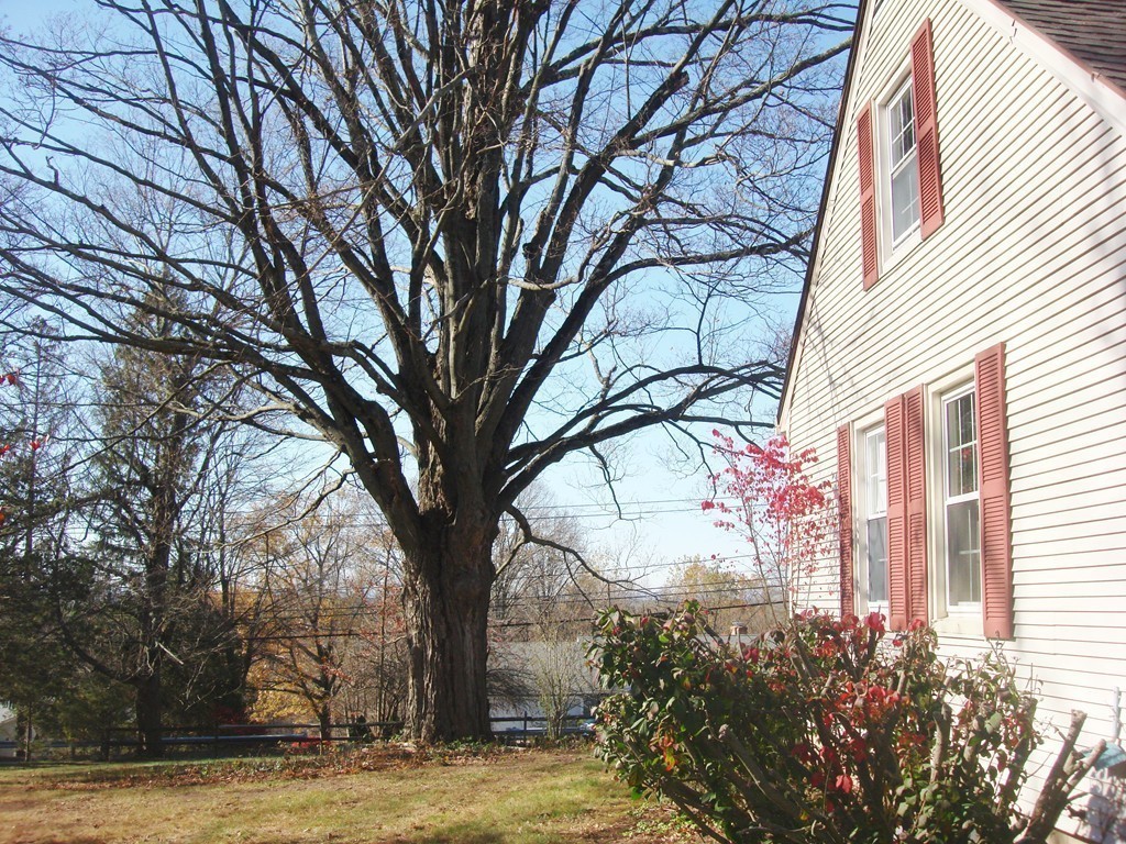 270 Wilbraham Road Hampden, MA 01036 - Photo 7 of 24 Gallery Image 7