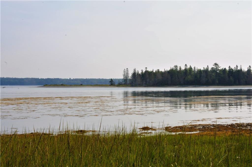 39 Cove Road Lamoine, ME 04605 - Photo 4 of 19 Photo