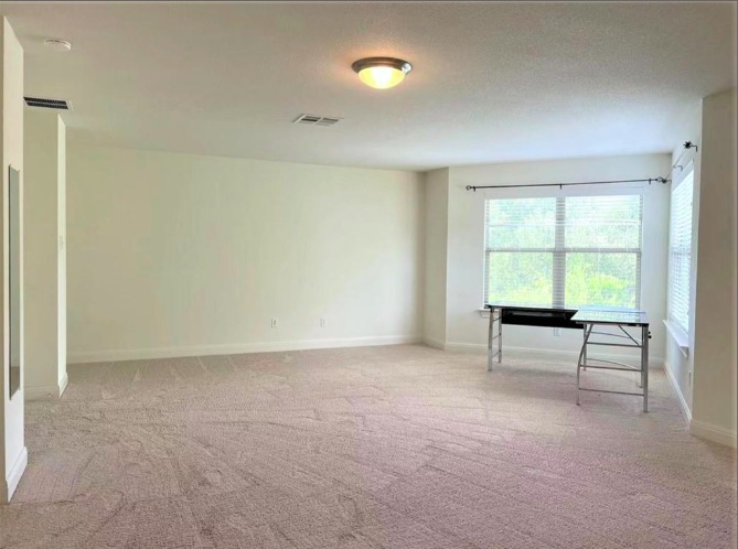 508 Tyree Road Cedar Park, TX 78613 - Photo 17 of 22 an empty room with windows and wooden floor