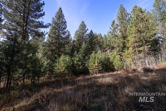 Tbd Joshua Drive, Unit 4 Cascade, ID 83611 - Photo 15 of 28