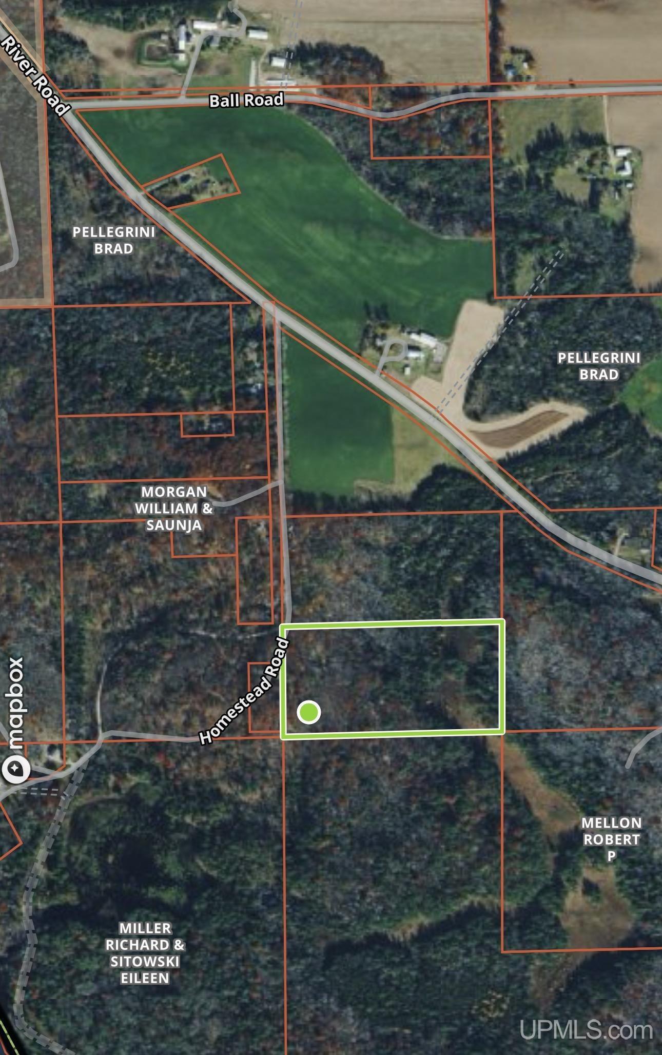 Tbd Tbd Homestead Road Vulcan, MI 49892 - Photo 2 of 10