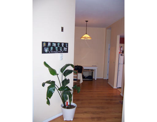 350 West Fourth Street, Unit 102 Boston, MA 02127 - Photo 5 of 16