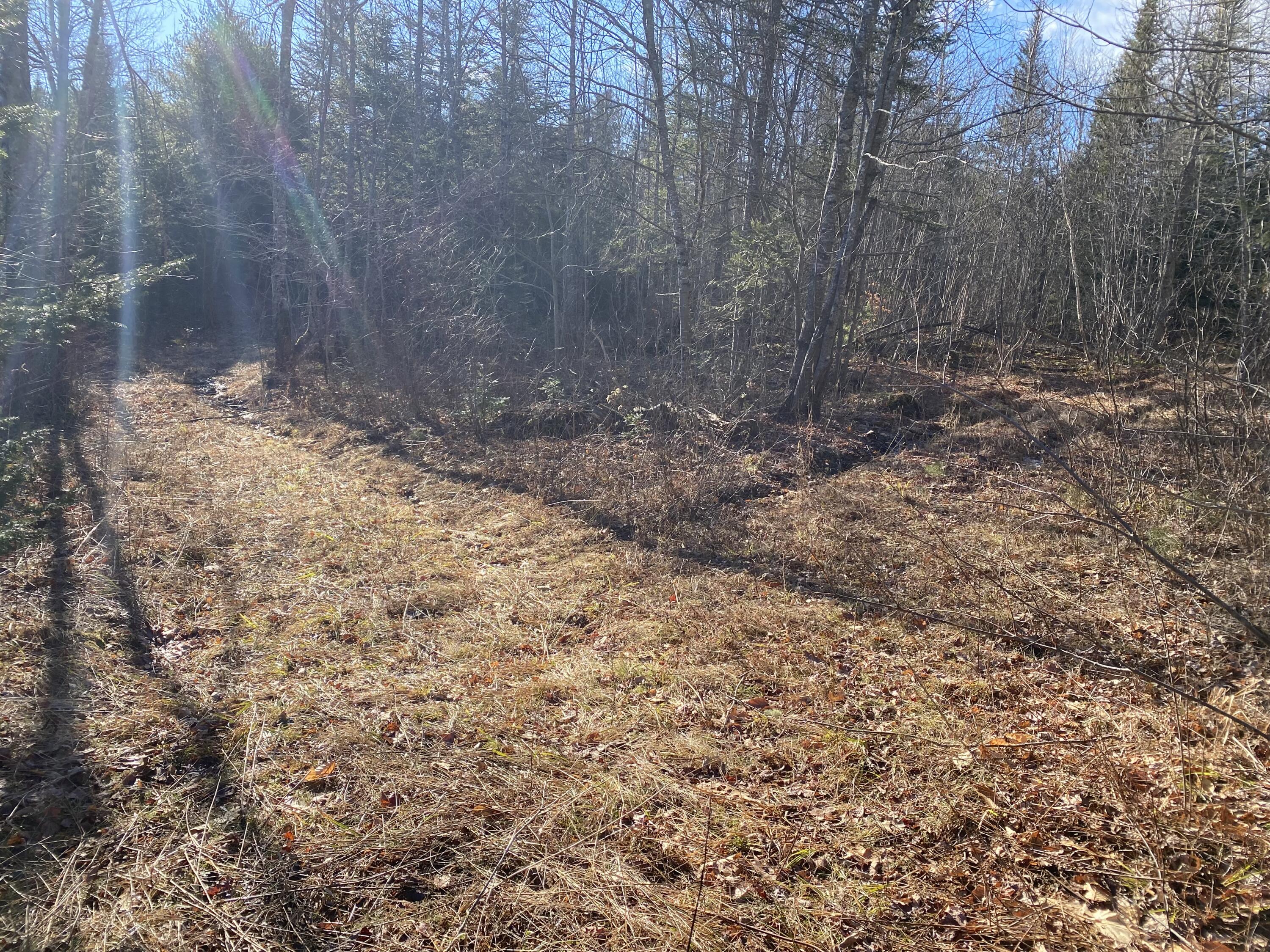 Tbd Chopps Cross Road Woolwich, ME 04579 - Photo 12 of 14 Chopps Cross Rd
