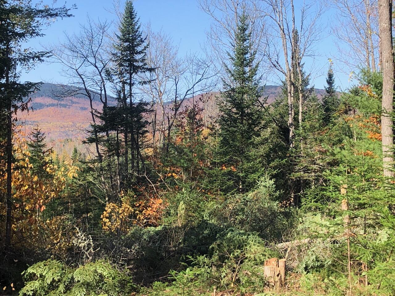 923 Center Hill Road Weld, ME 04285 - Photo 2 of 34