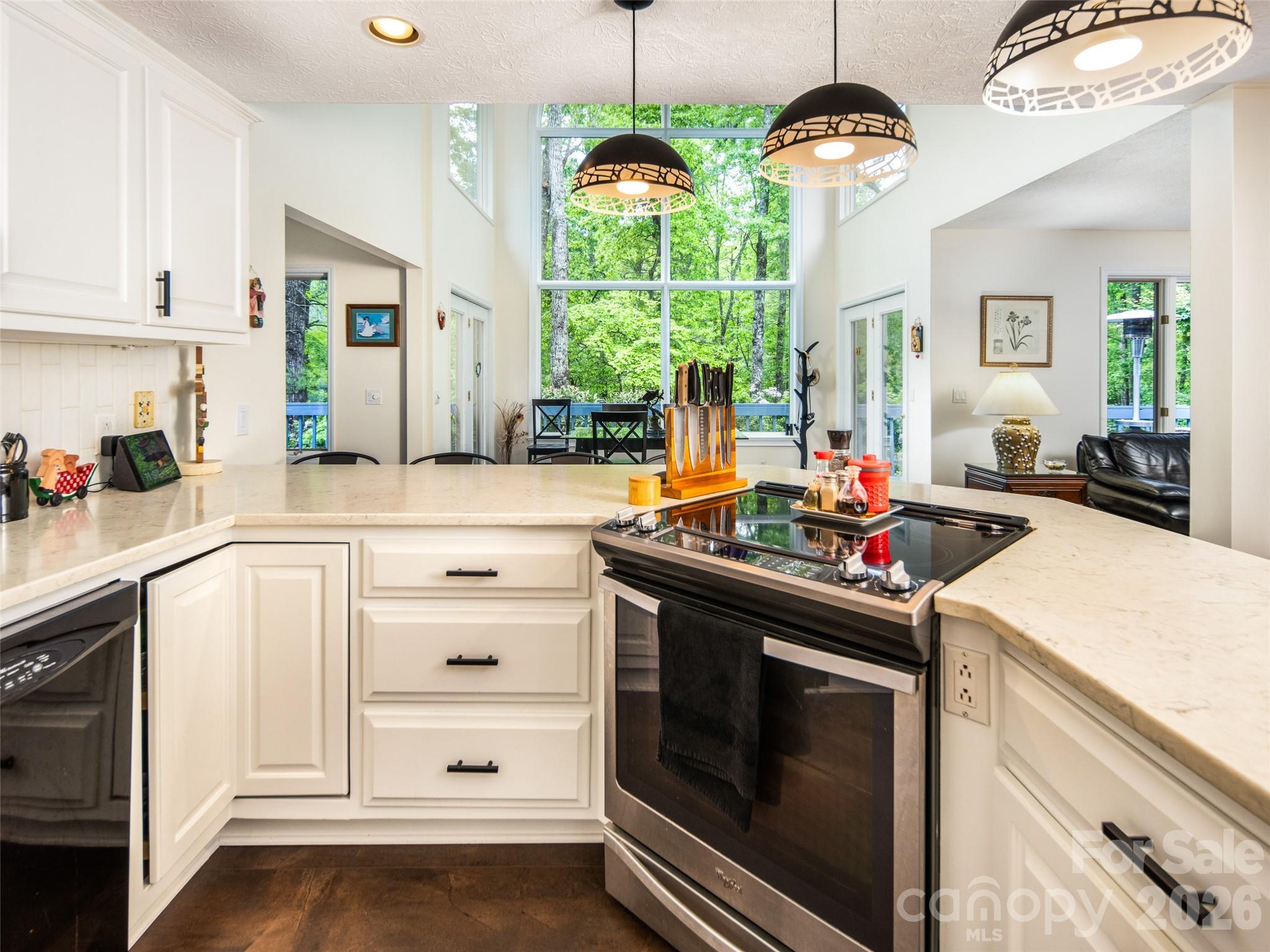 363 Rickel Drive Hendersonville, NC 28739 - Photo 13 of 44