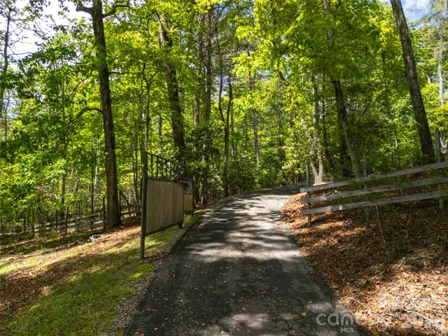 a view of a yard with large trees