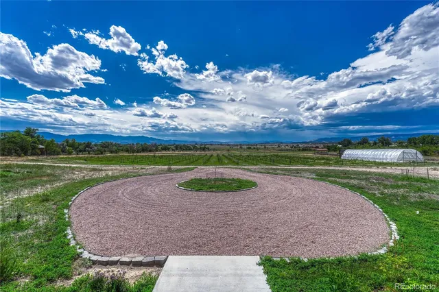a view of a garden with an ocean