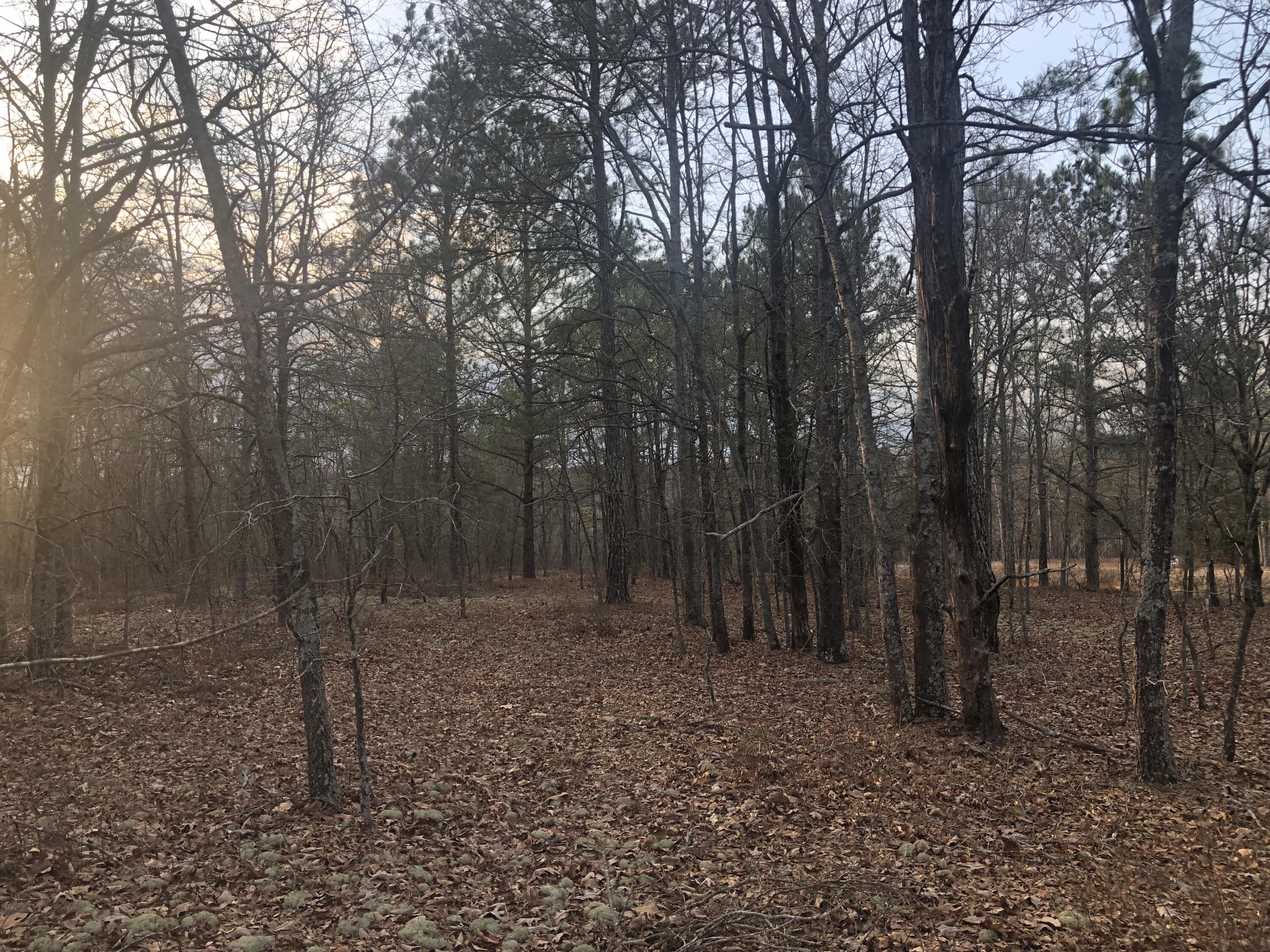 0 Coleman Bridge Road Northeast Aiken, SC 29801 - Photo 6 of 7