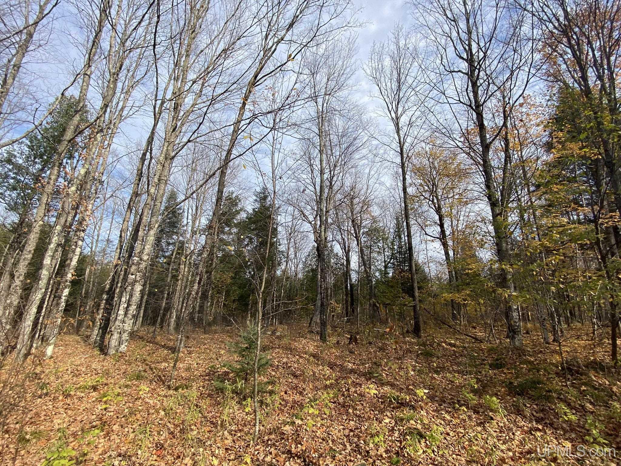 Tbd Tbd Off County Road Cornell, MI 49818 - Photo 4 of 21