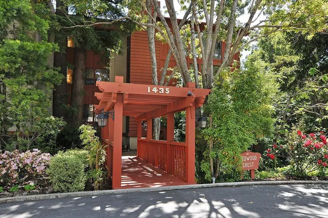 a view of a house with a tree front of house