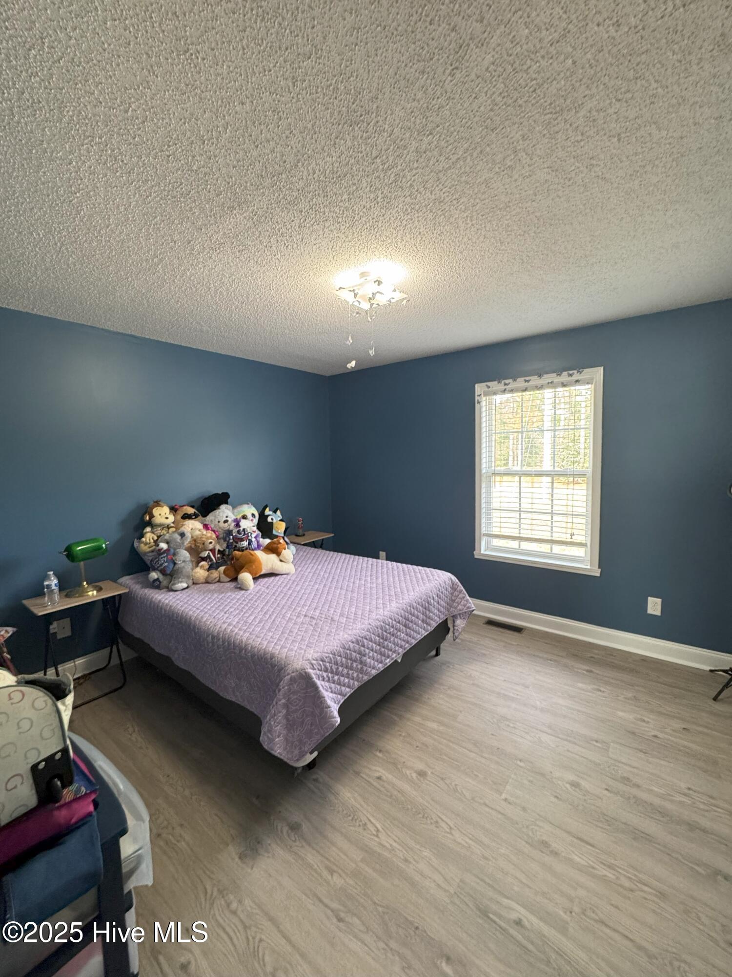 592 Freeman Mill Road Hamlet, NC 28345 - Photo 22 of 28 IMG_8890