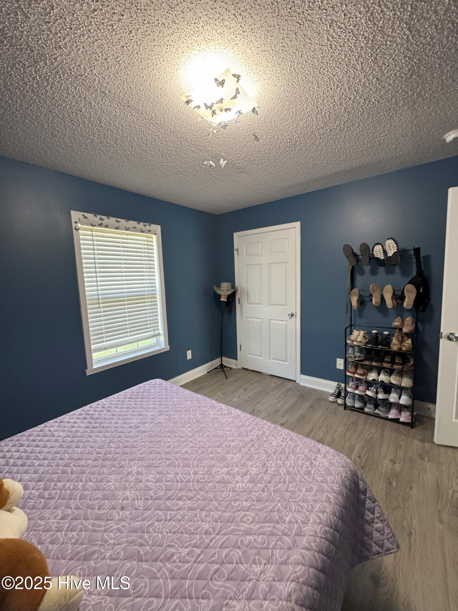 592 Freeman Mill Road Hamlet, NC 28345 - Photo 23 of 28 IMG_8824