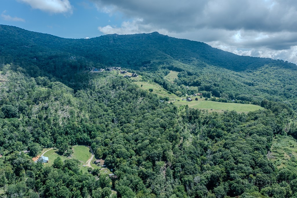 461 Reuben Wooten Road Banner Elk, NC 28604 - Photo 29 of 39 a view of a lush green forest with lots of trees