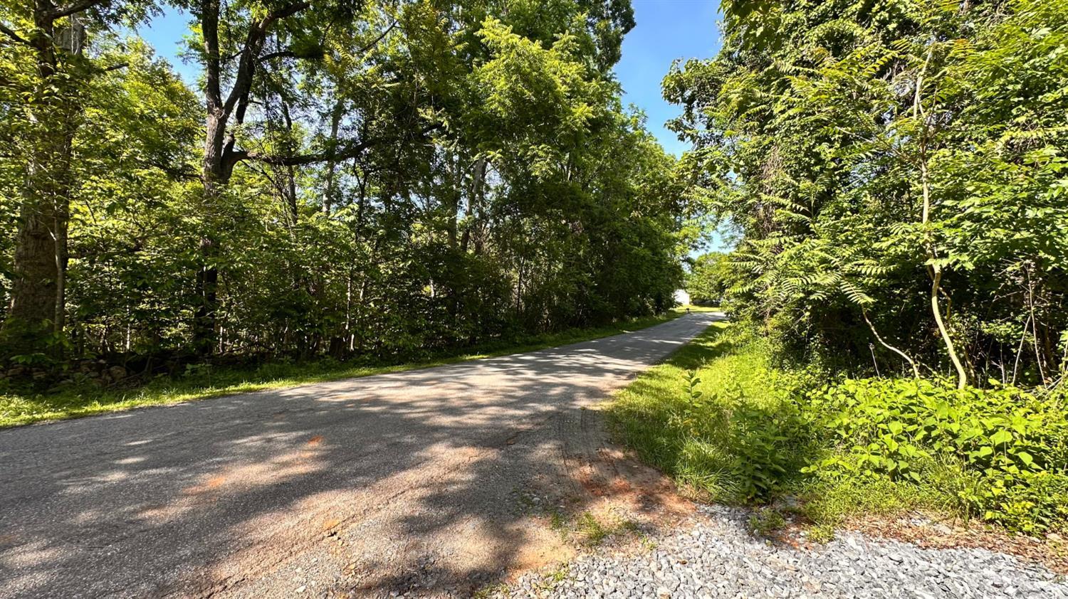 0 Goggin Ford Road Bedford, VA 24523 - Photo 5 of 25