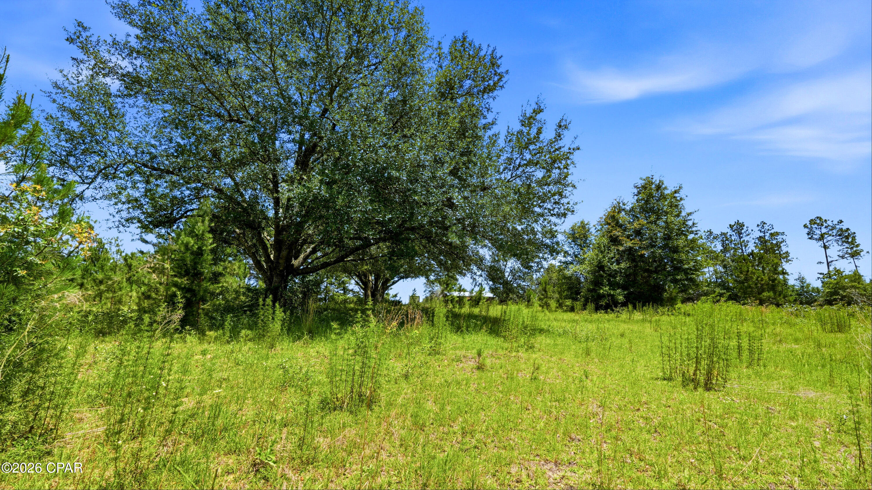 705 Cornwell Road Alford, FL 32420 - Photo 87 of 89