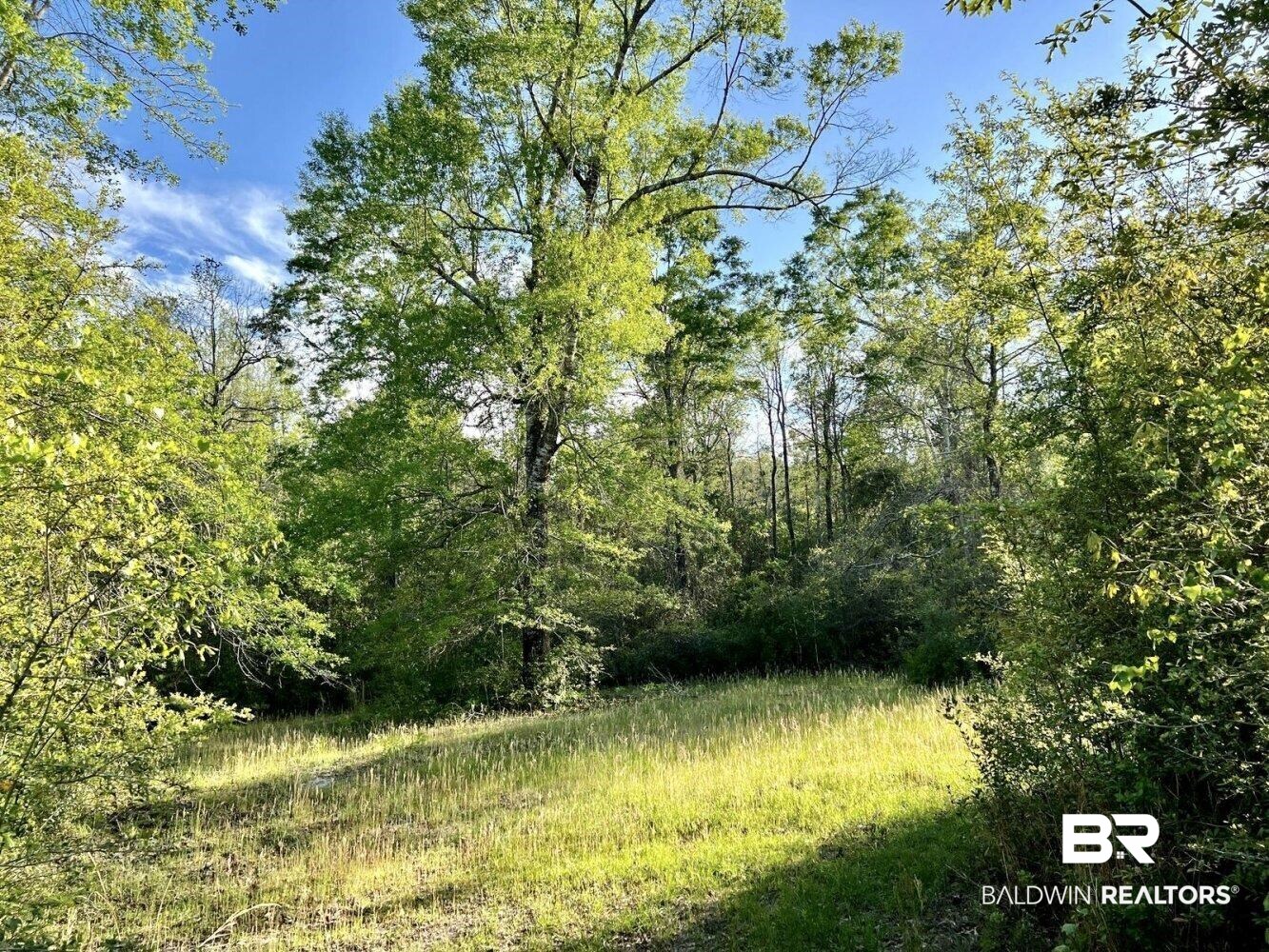 0 James Stacy Lane Stapleton, AL 36578 - Photo 3 of 13 Gallery Image 3