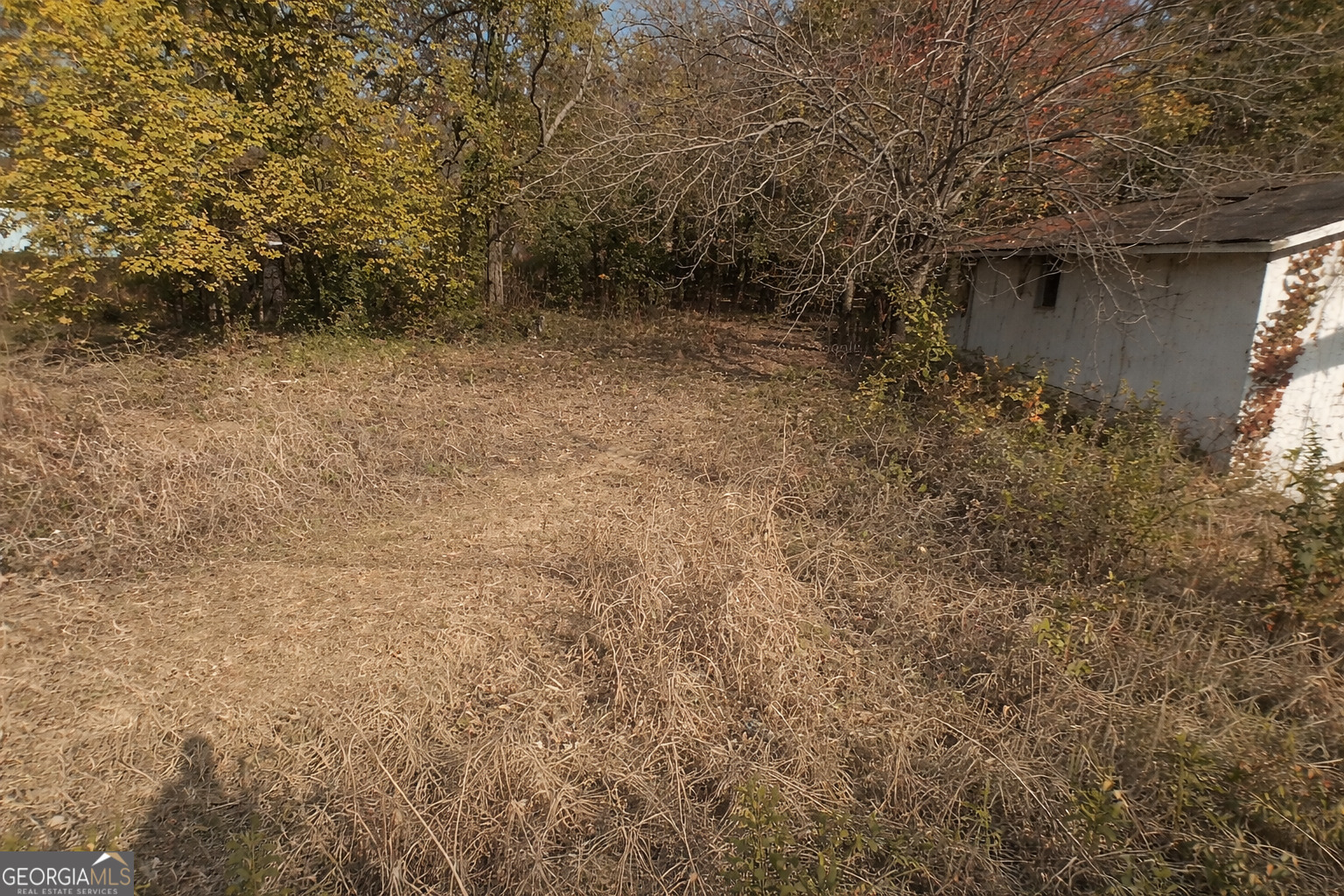 a view of a house with a dry yard