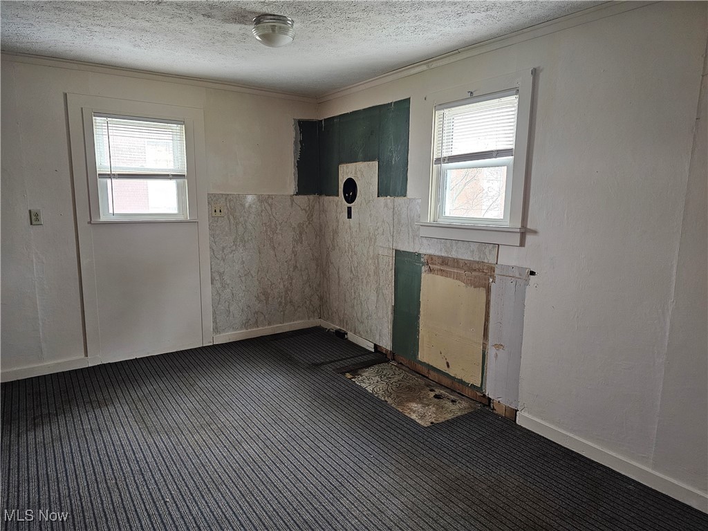 2415 Columbiana Road New Springfield, OH 44443 - Photo 21 of 25 Empty room featuring dark colored carpet, a textured ceiling, and a wealth of natural light